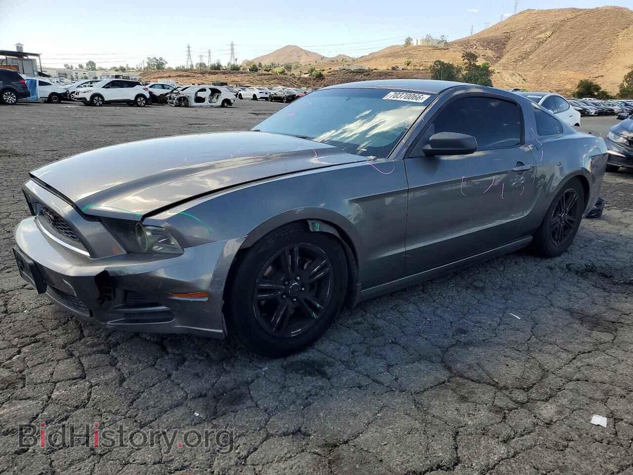 Фотография 1ZVBP8AM0D5282456 - FORD MUSTANG 2013
