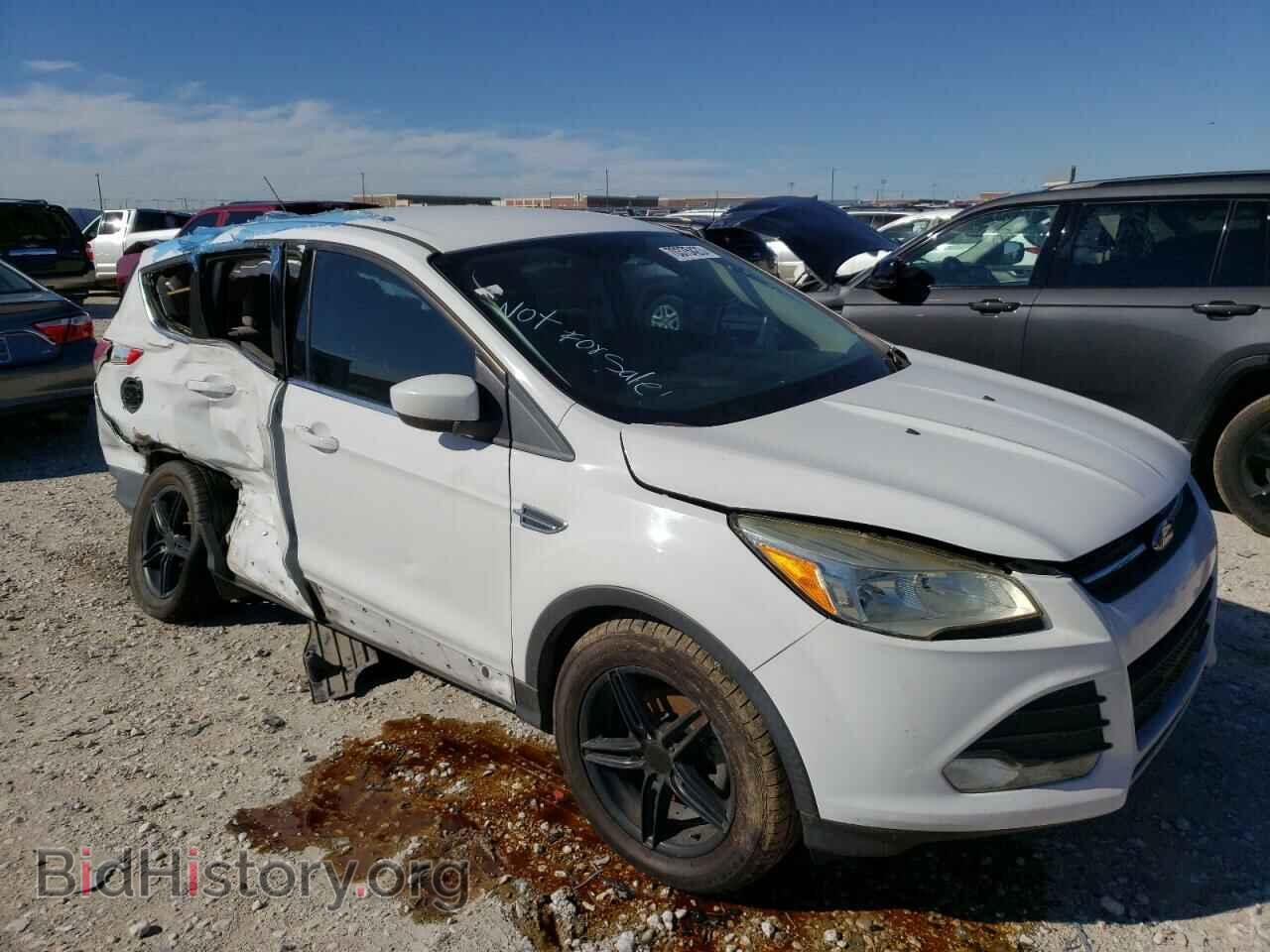2014 FORD ESCAPE - VIN: 1FMCU0GX7EUD43632 - Фото 4