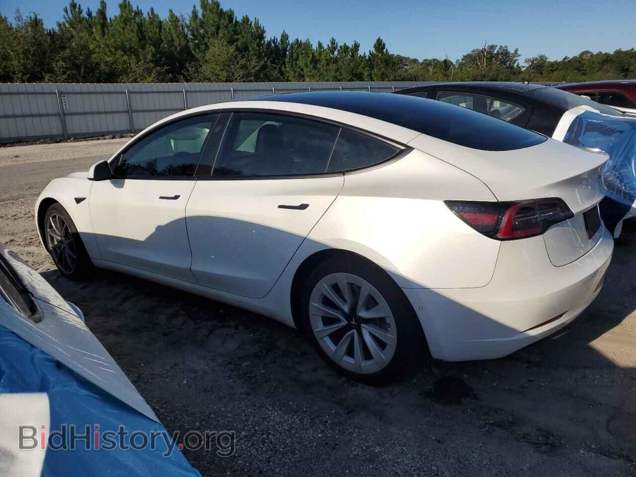 2021 TESLA MODEL 3 - VIN: 5YJ3E1EAXMF045573 - Фото 2