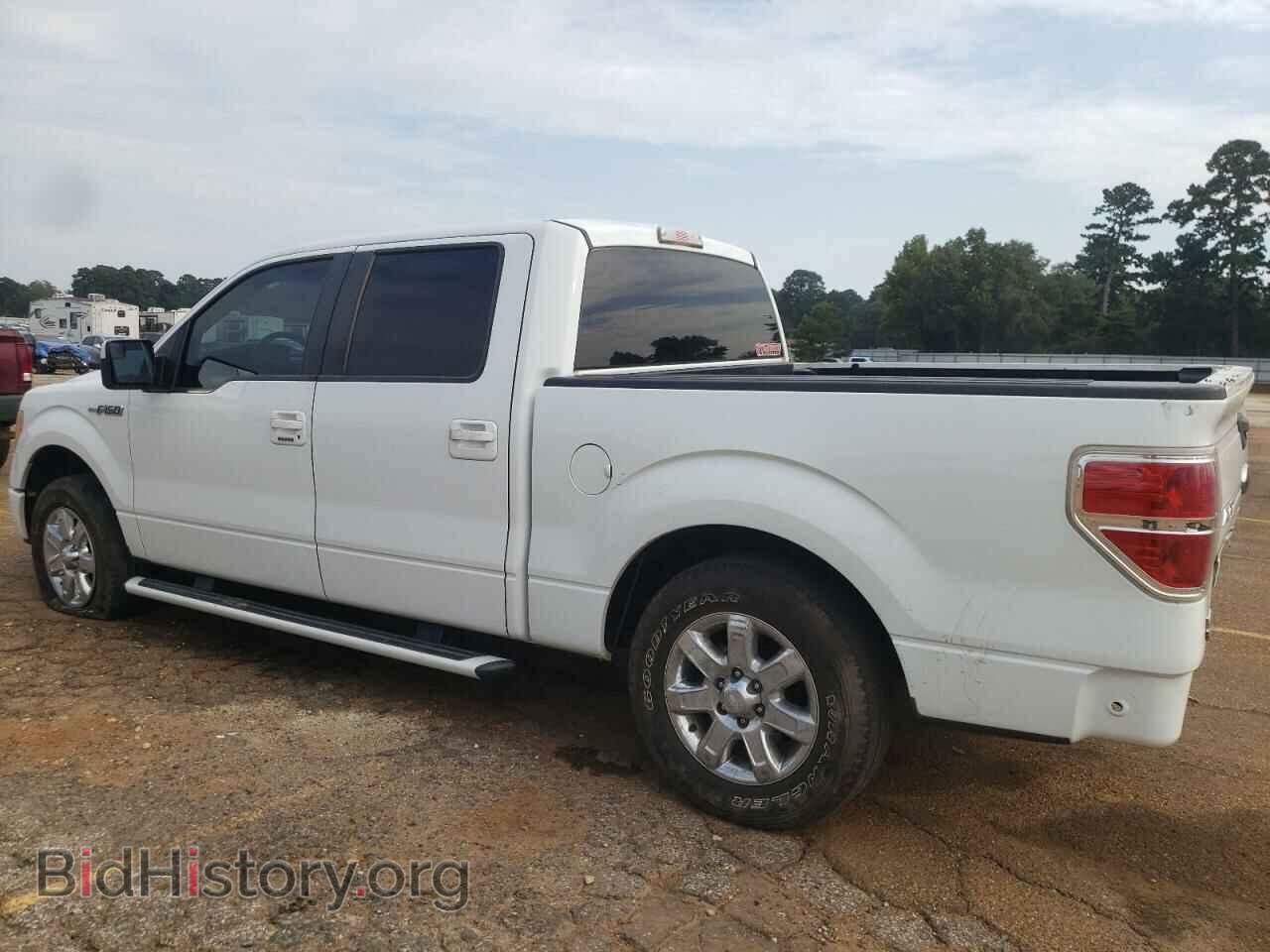 2011 FORD F-150 - VIN: 1FTEW1CM4BFA41384 - Фото 2