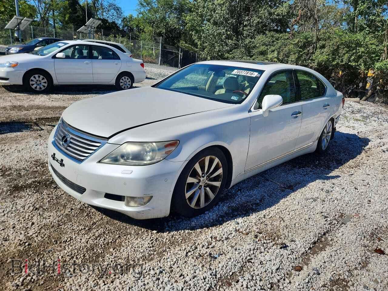 Фотография JTHCL5EF3A5007977 - LEXUS LS460 2010