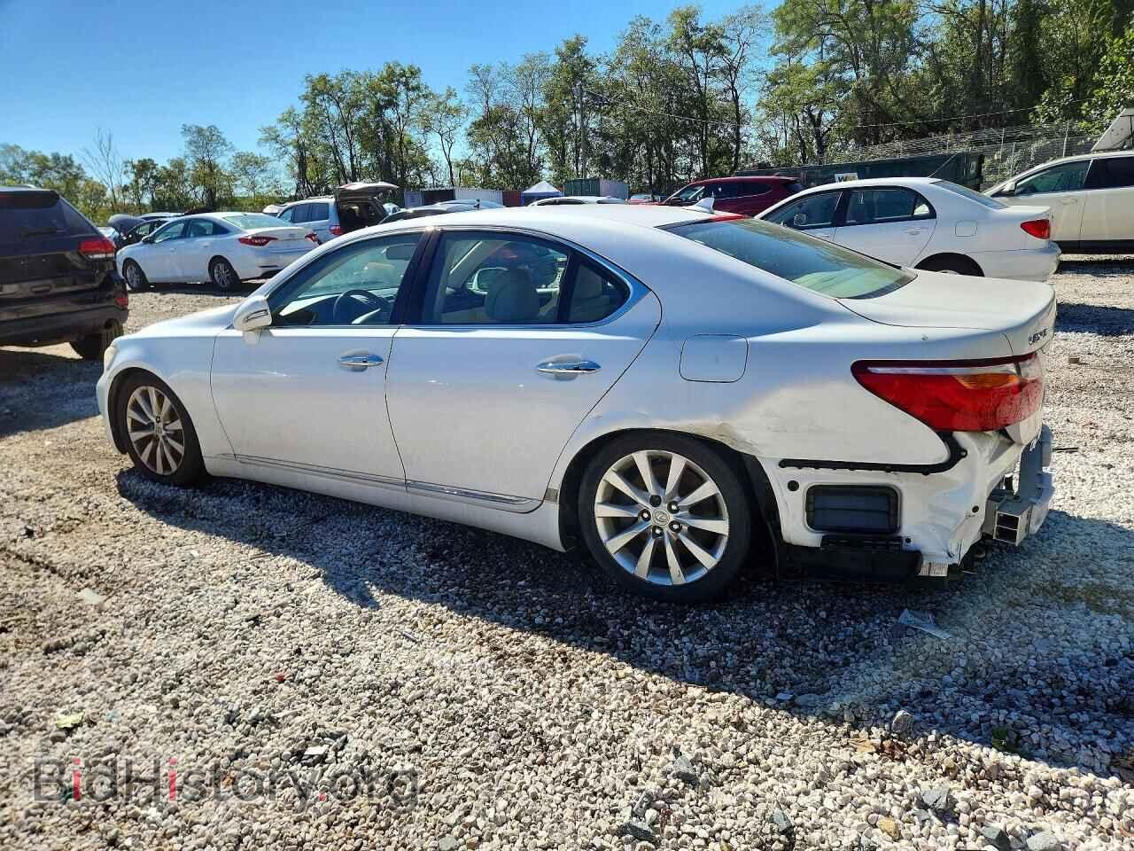 2010 LEXUS LS460 - VIN: JTHCL5EF3A5007977 - Photo 2