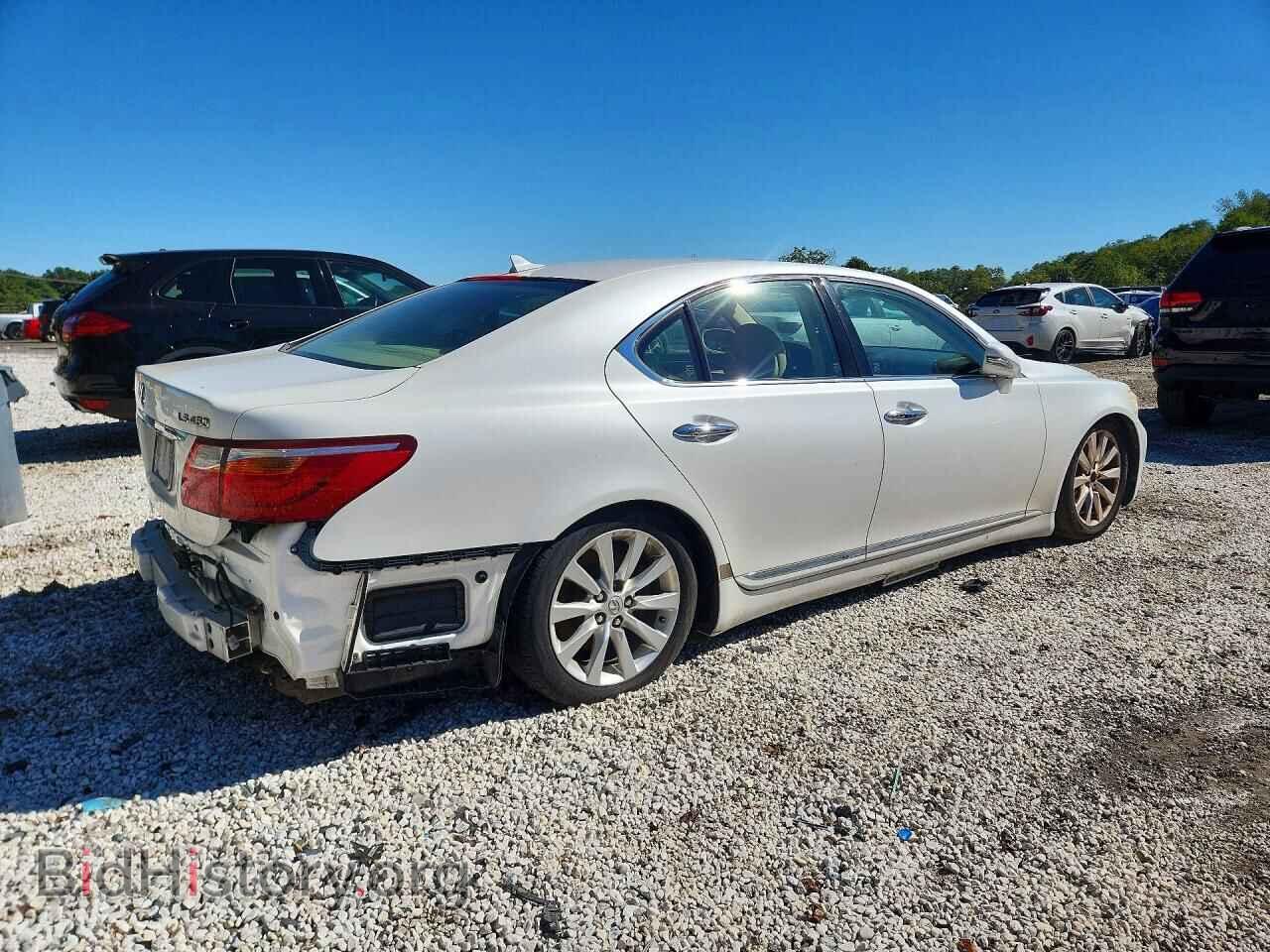 2010 LEXUS LS460 - VIN: JTHCL5EF3A5007977 - Photo 3