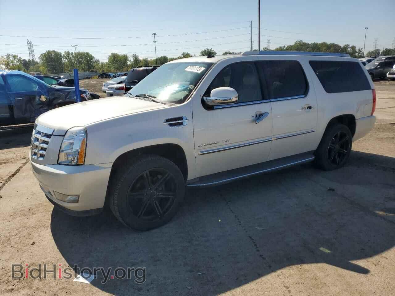 Photo 1GYS3HEF6BR100687 - CADILLAC ESCALADE 2011