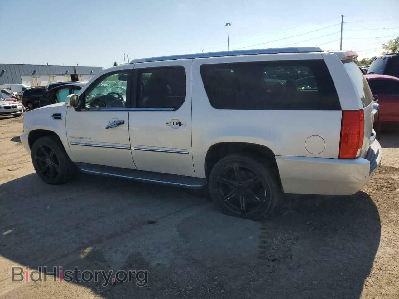 2011 CADILLAC ESCALADE - VIN: 1GYS3HEF6BR100687 - Photo 2