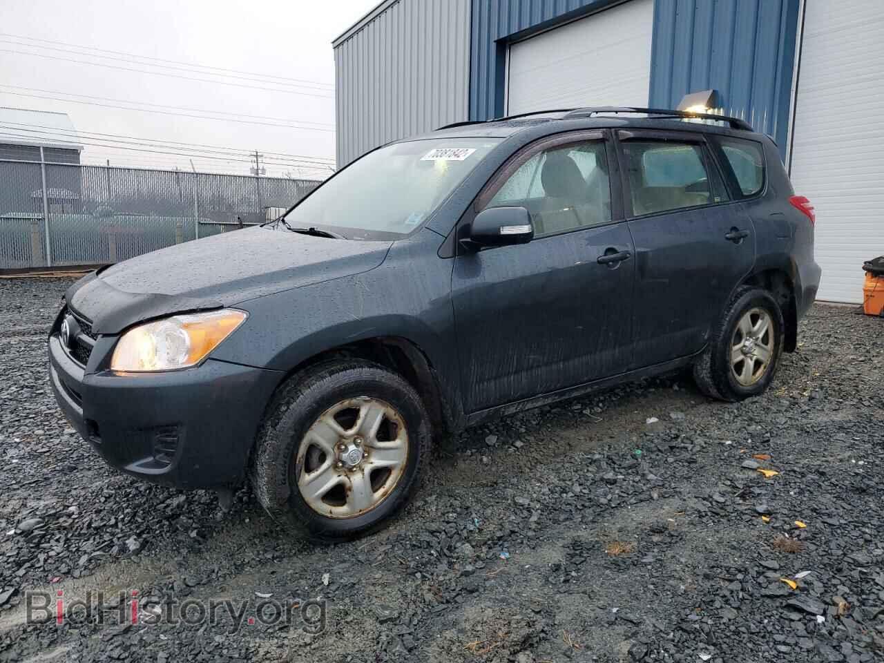Photo 2T3BF4DV4BW137686 - TOYOTA RAV4 2011