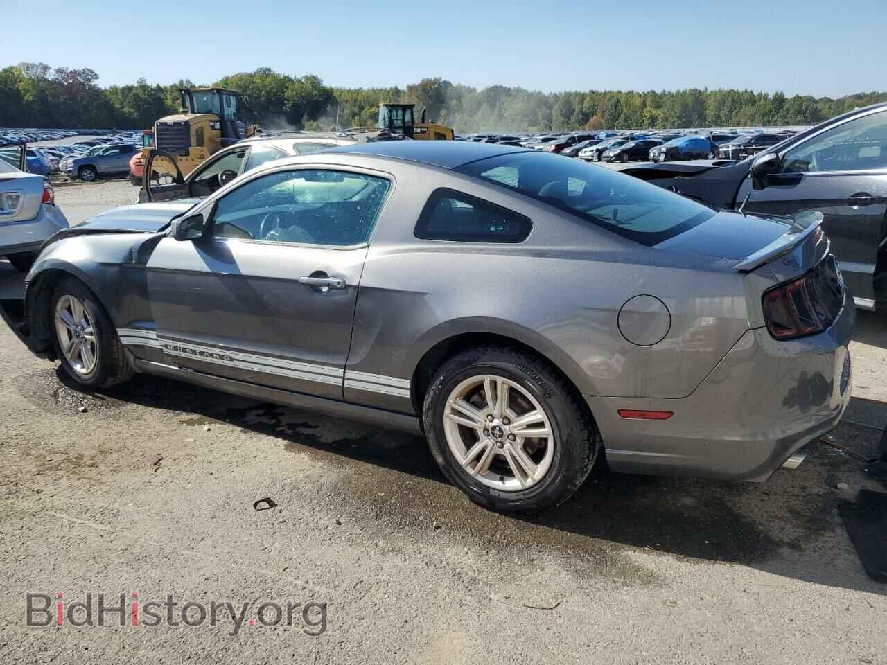 2013 FORD ALL Models - VIN: 1ZVBP8AM9D5211577 - Фото 2