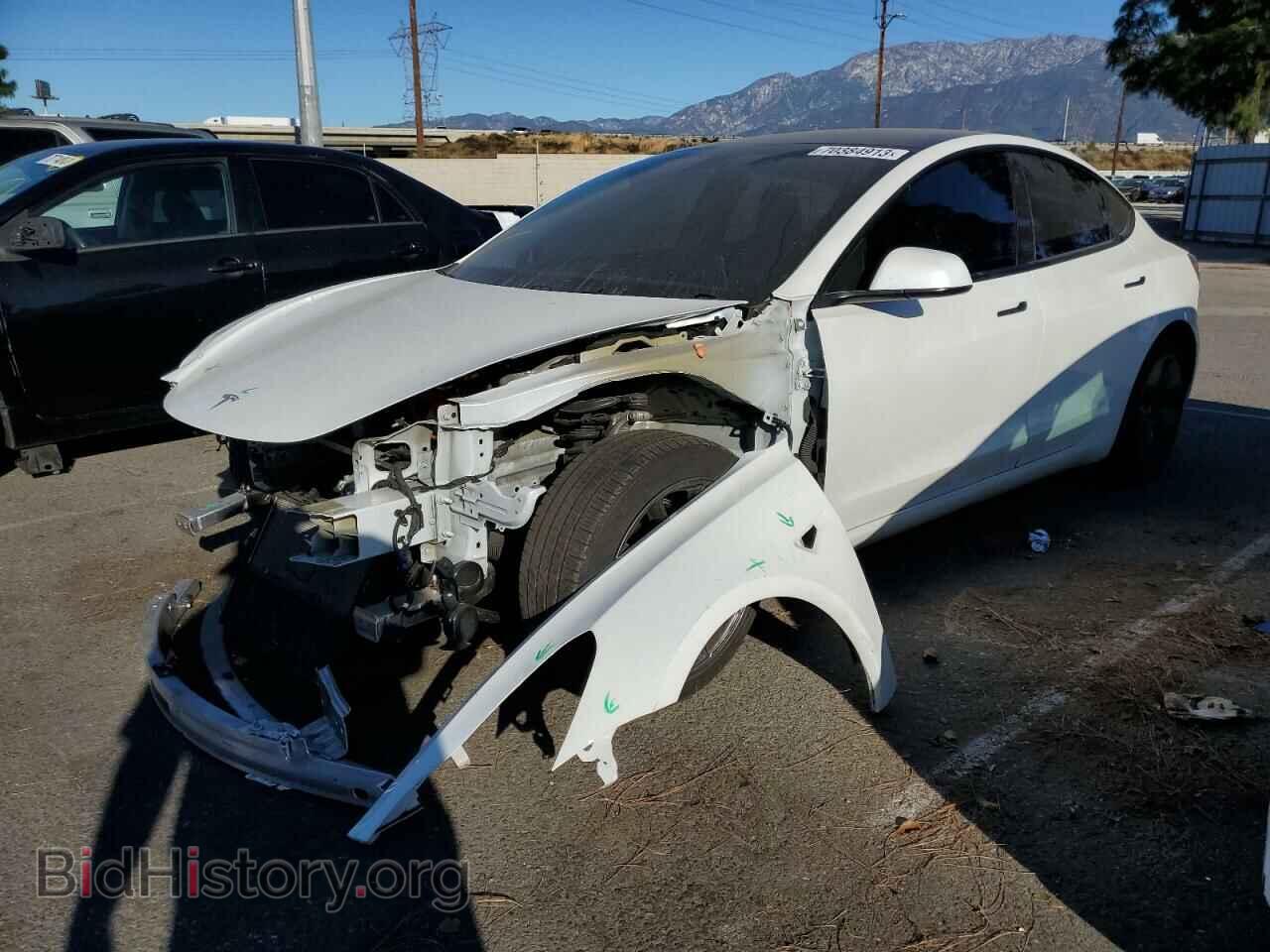 Photo 5YJ3E1EA1MF066408 - TESLA MODEL 3 2021