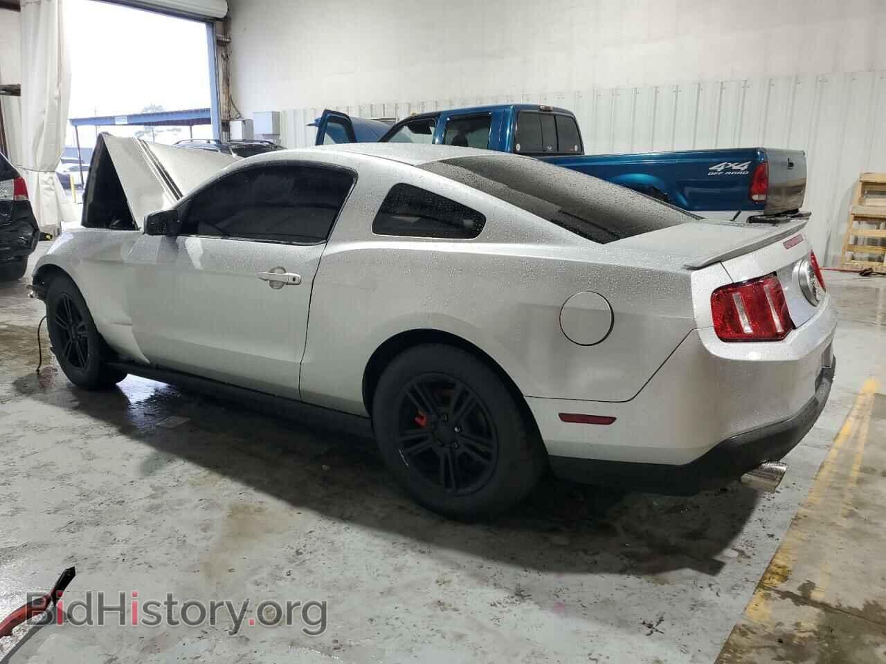 2011 FORD ALL Models - VIN: 1ZVBP8AM6B5105326 - Фото 2