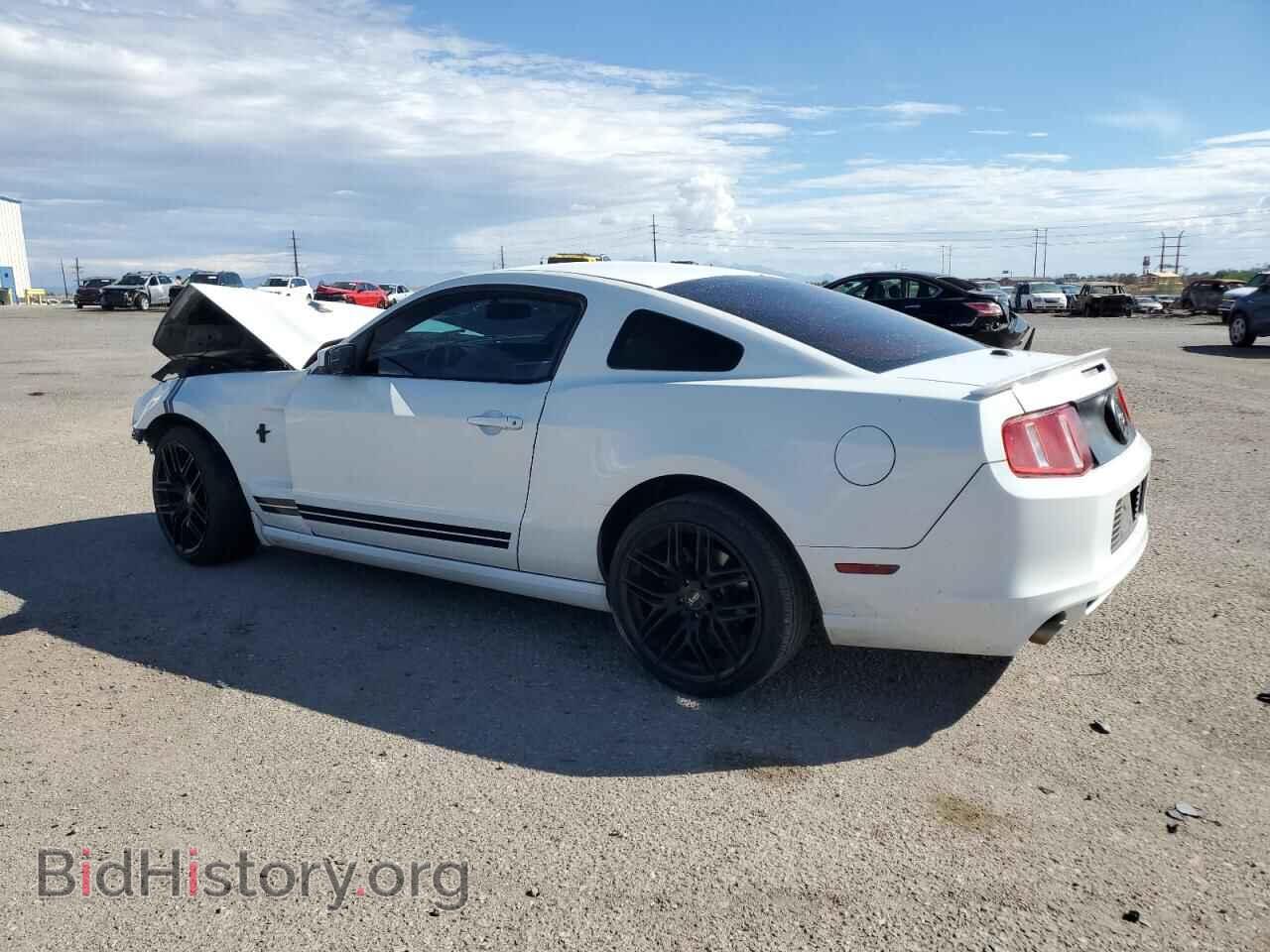 2014 FORD ALL Models - VIN: 1ZVBP8AM4E5236307 - Фото 2