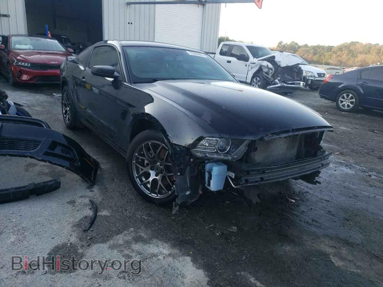 2013 FORD MUSTANG - VIN: 1ZVBP8AM1D5261549 - Фото 4