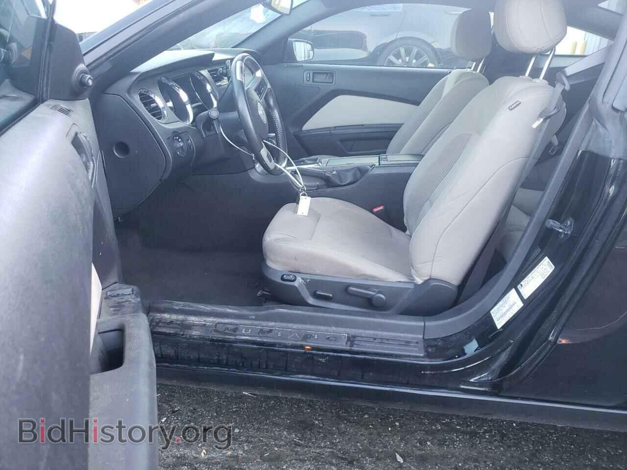 2013 FORD MUSTANG - VIN: 1ZVBP8AM1D5261549 - Фото 7