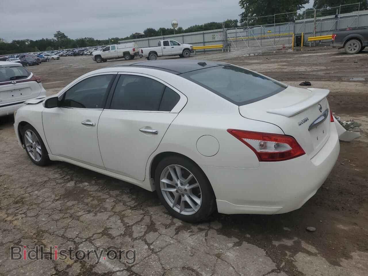 2009 NISSAN MAXIMA - VIN: 1N4AA51E49C845704 - Фото 2