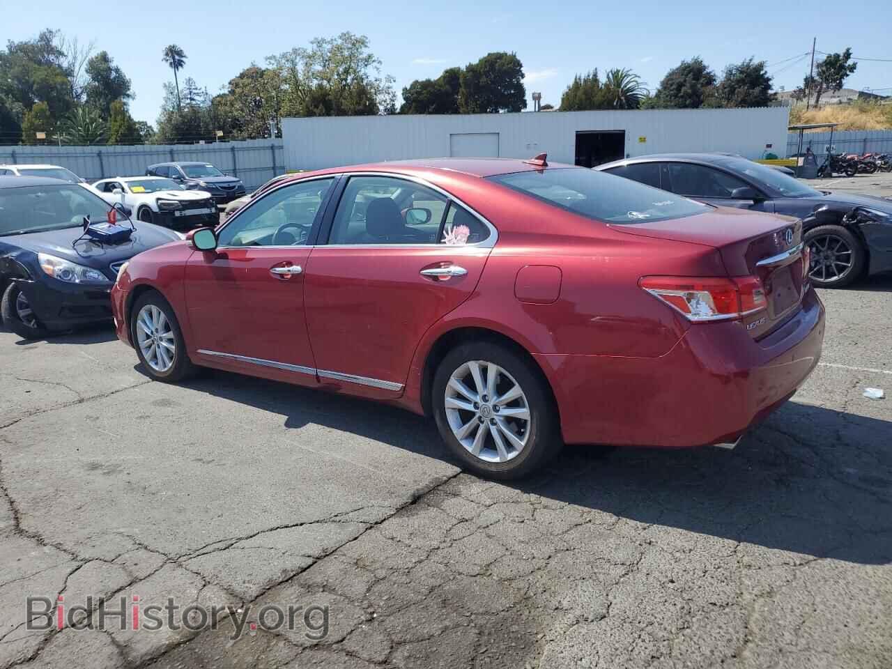 2010 LEXUS ES350 - VIN: JTHBK1EG2A2401875 - Фото 2