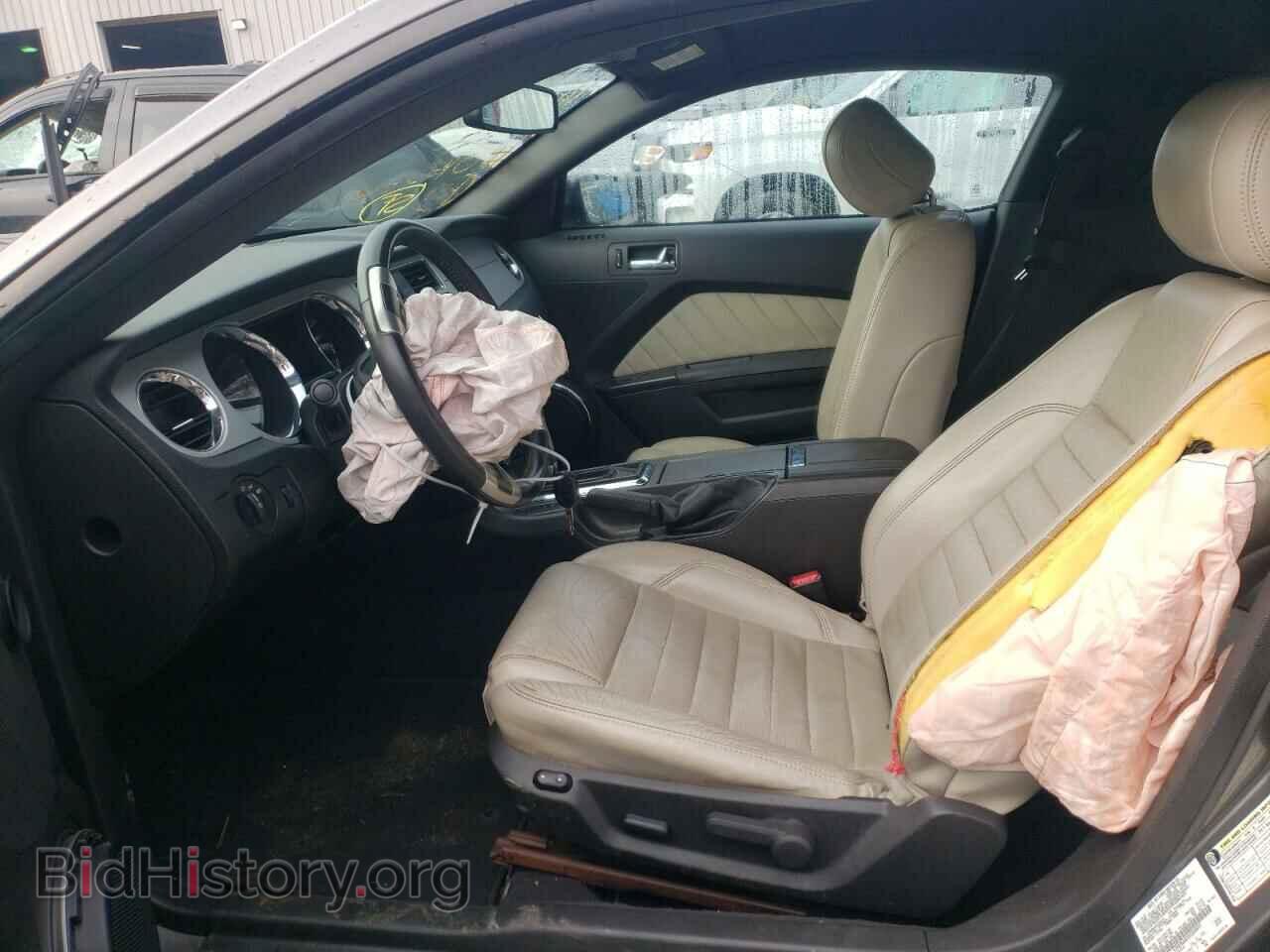 2013 FORD MUSTANG - VIN: 1ZVBP8AM3D5204091 - Фото 7