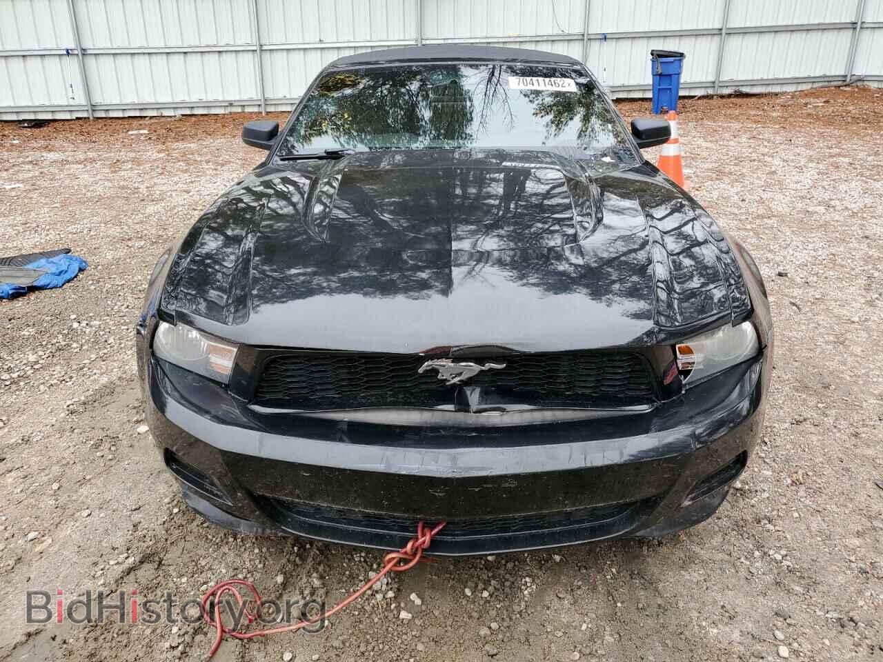2012 FORD MUSTANG - VIN: 1ZVBP8EM4C5241269 - Фото 5