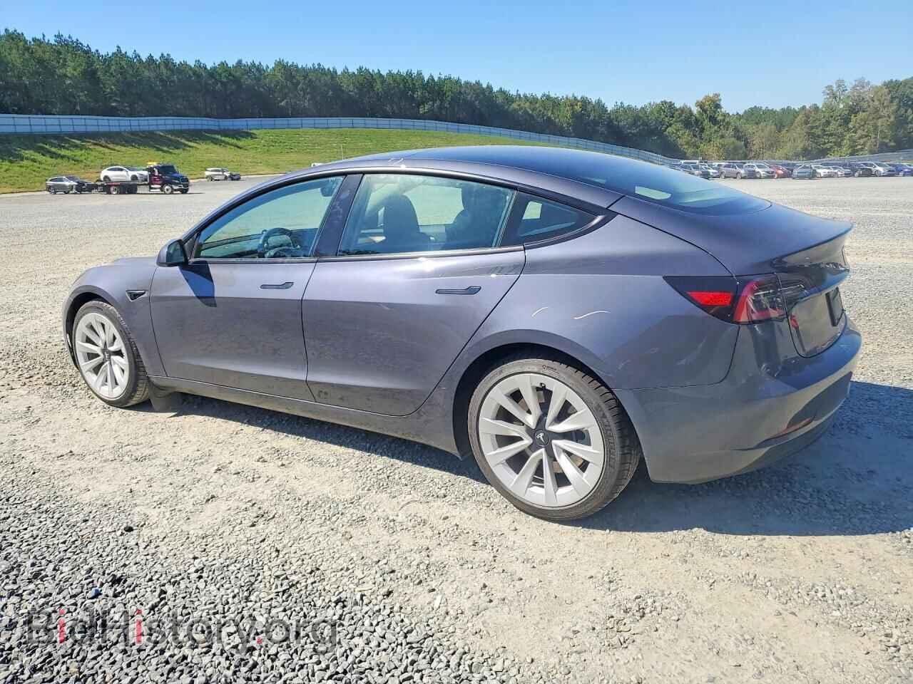2023 TESLA MODEL 3 - VIN: 5YJ3E1EA2PF549037 - Фото 2