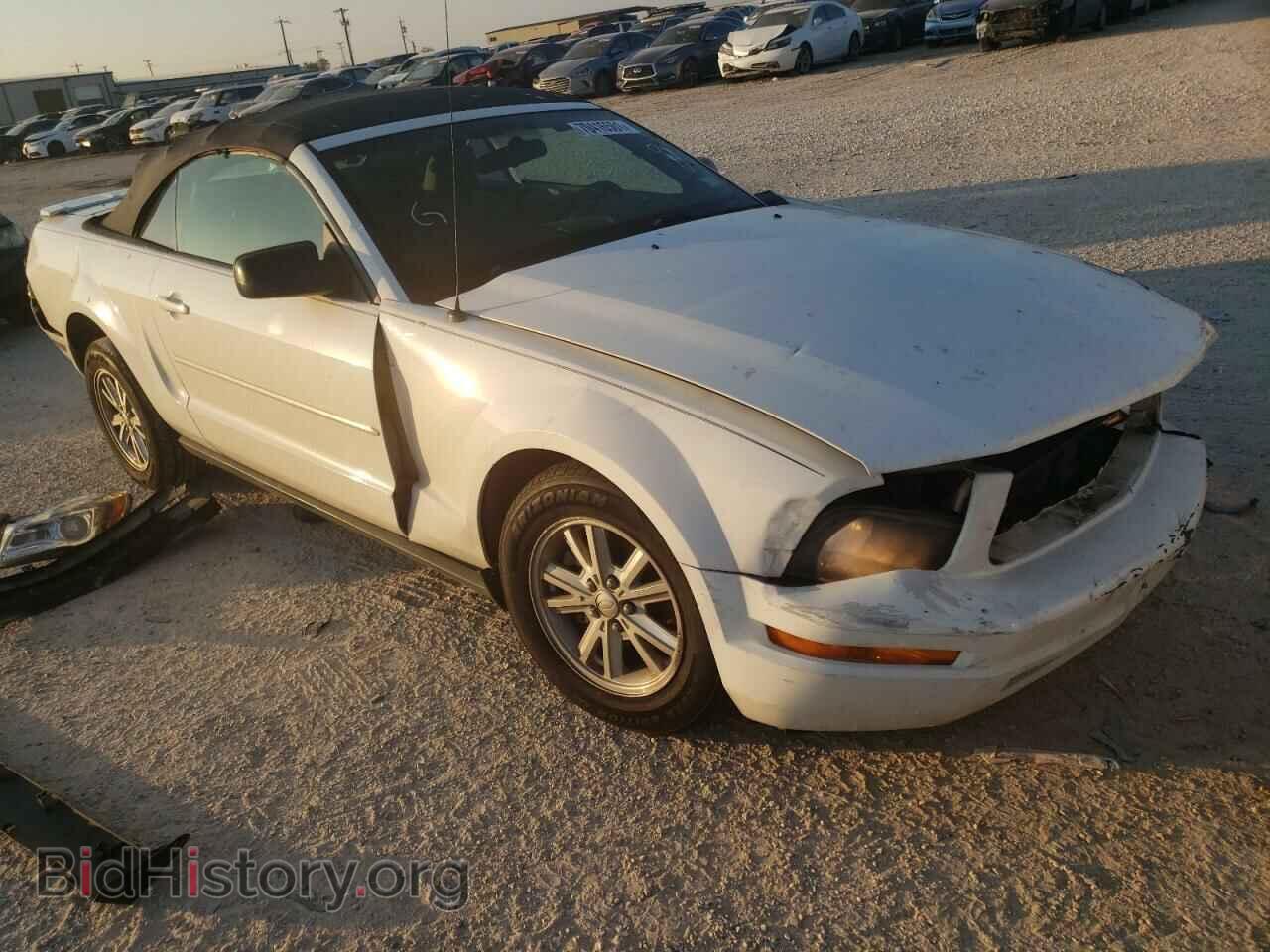 Photo 1ZVHT84N385136231 - FORD MUSTANG 2008