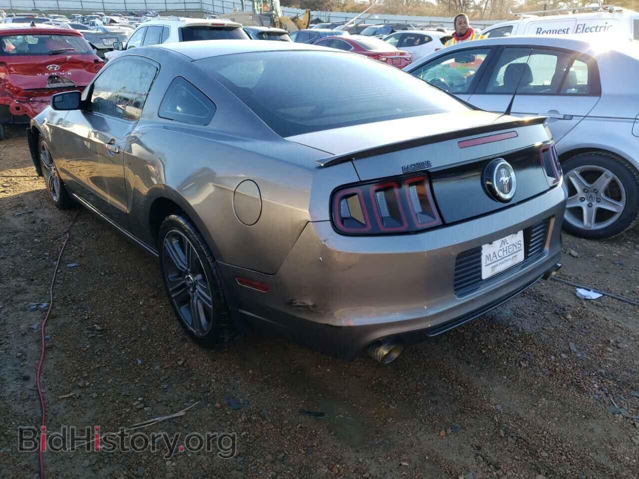 2013 FORD MUSTANG - VIN: 1ZVBP8AM6D5253303 - Фото 3