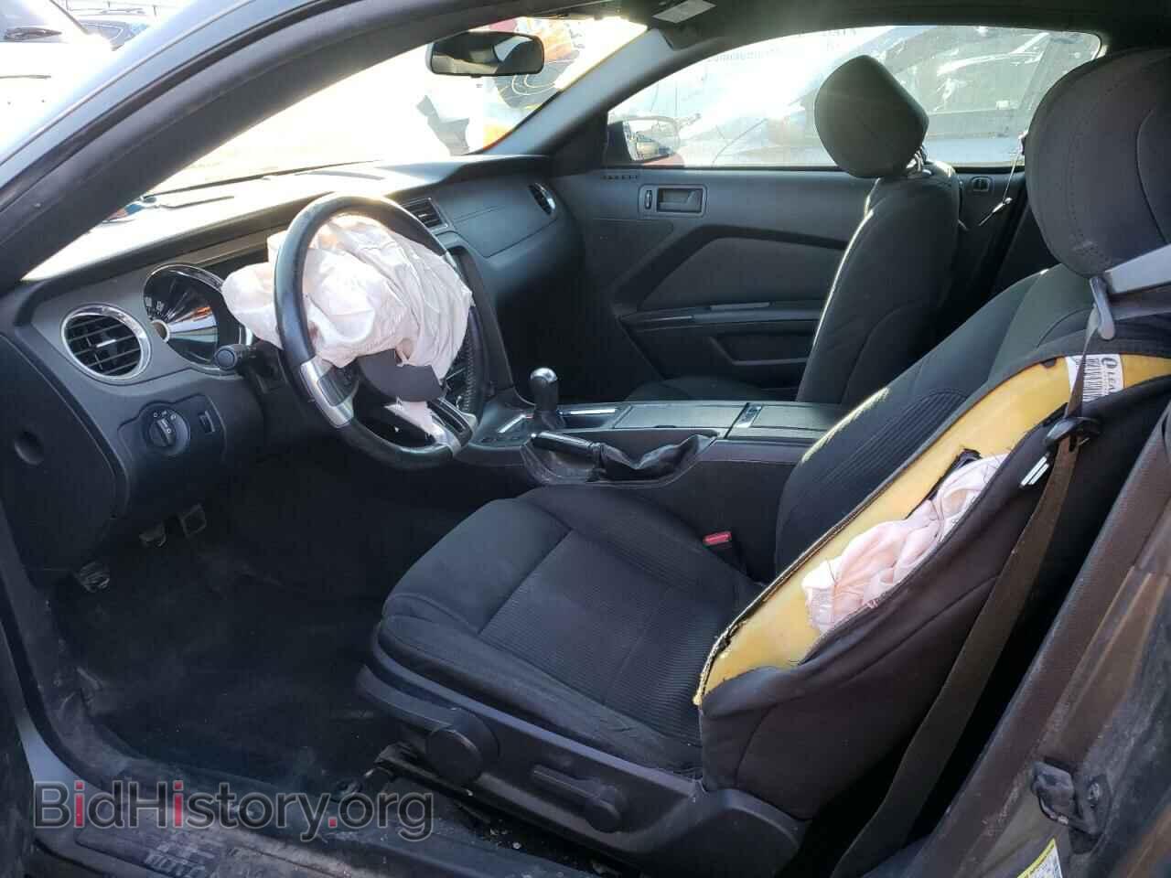 2013 FORD MUSTANG - VIN: 1ZVBP8AM6D5253303 - Фото 5