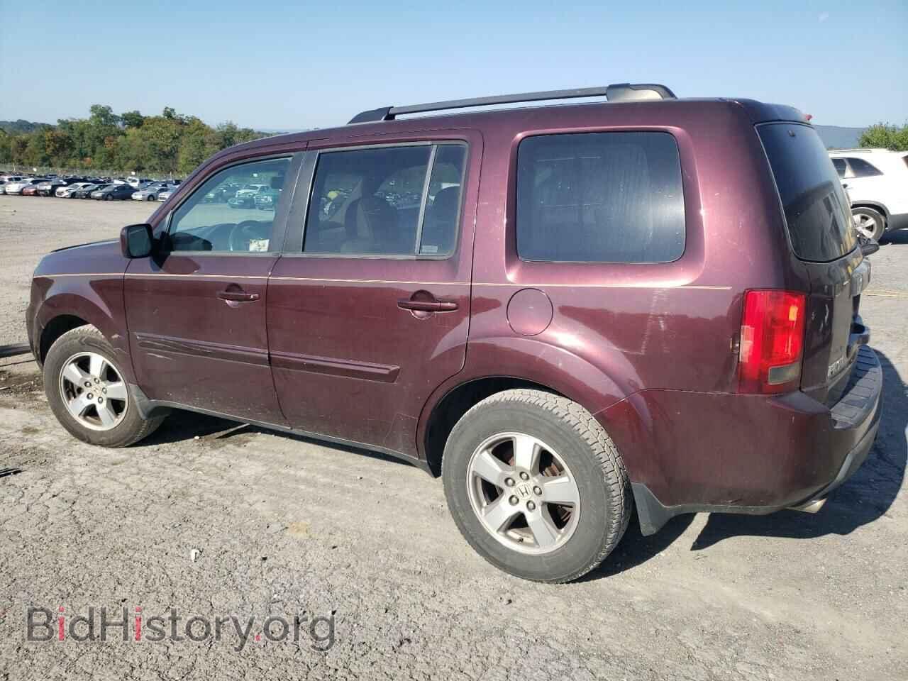 2009 HONDA PILOT - VIN: 5FNYF48599B045896 - Фото 2
