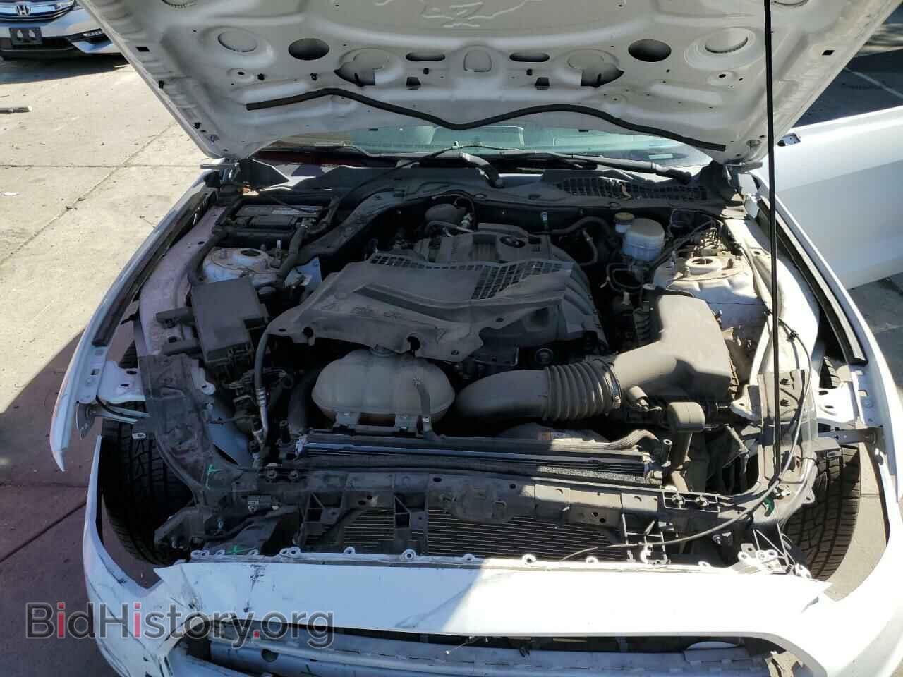 2017 FORD ALL Models - VIN: 1FA6P8THXH5229330 - Фото 11