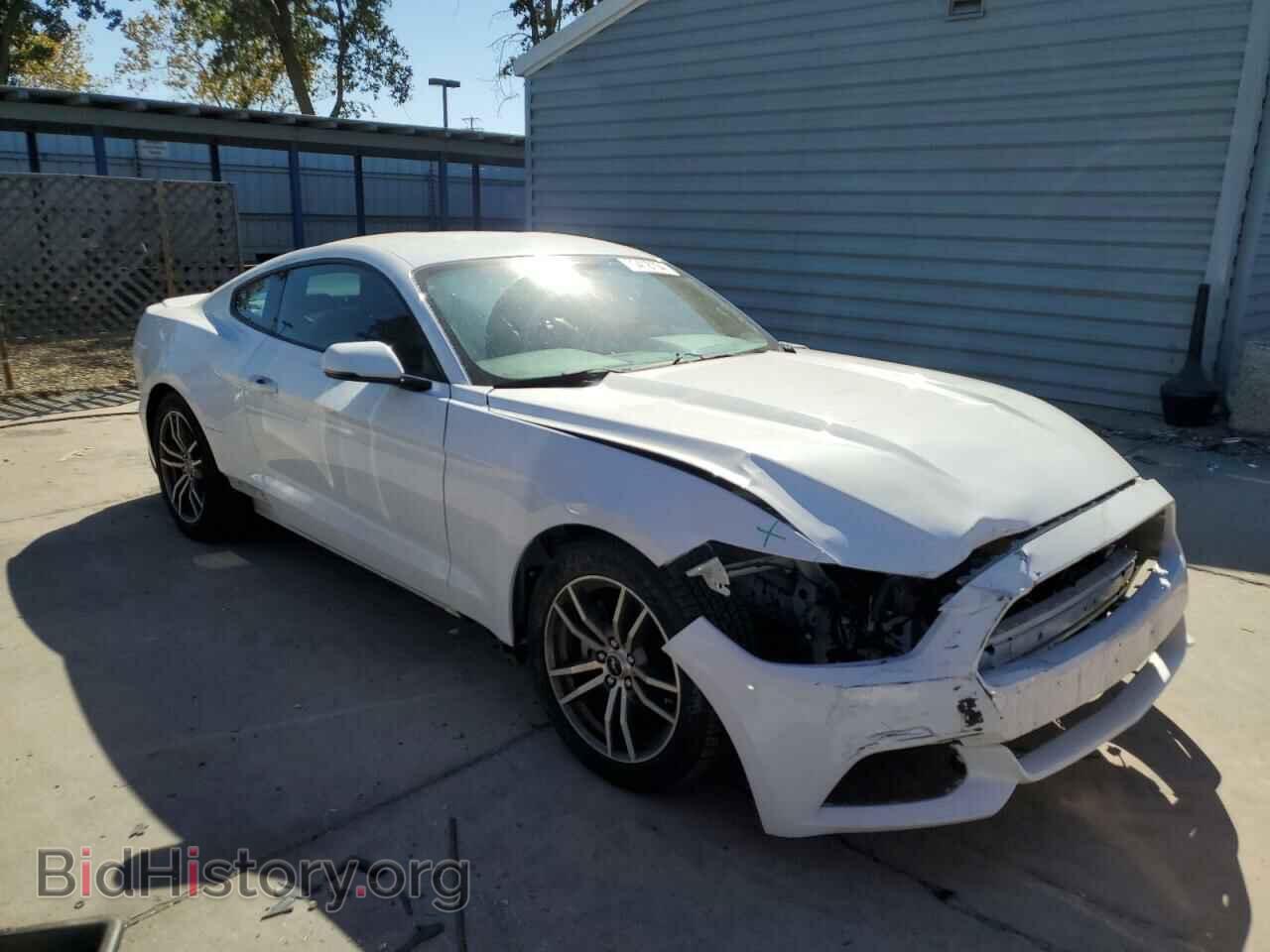 2017 FORD ALL Models - VIN: 1FA6P8THXH5229330 - Фото 4