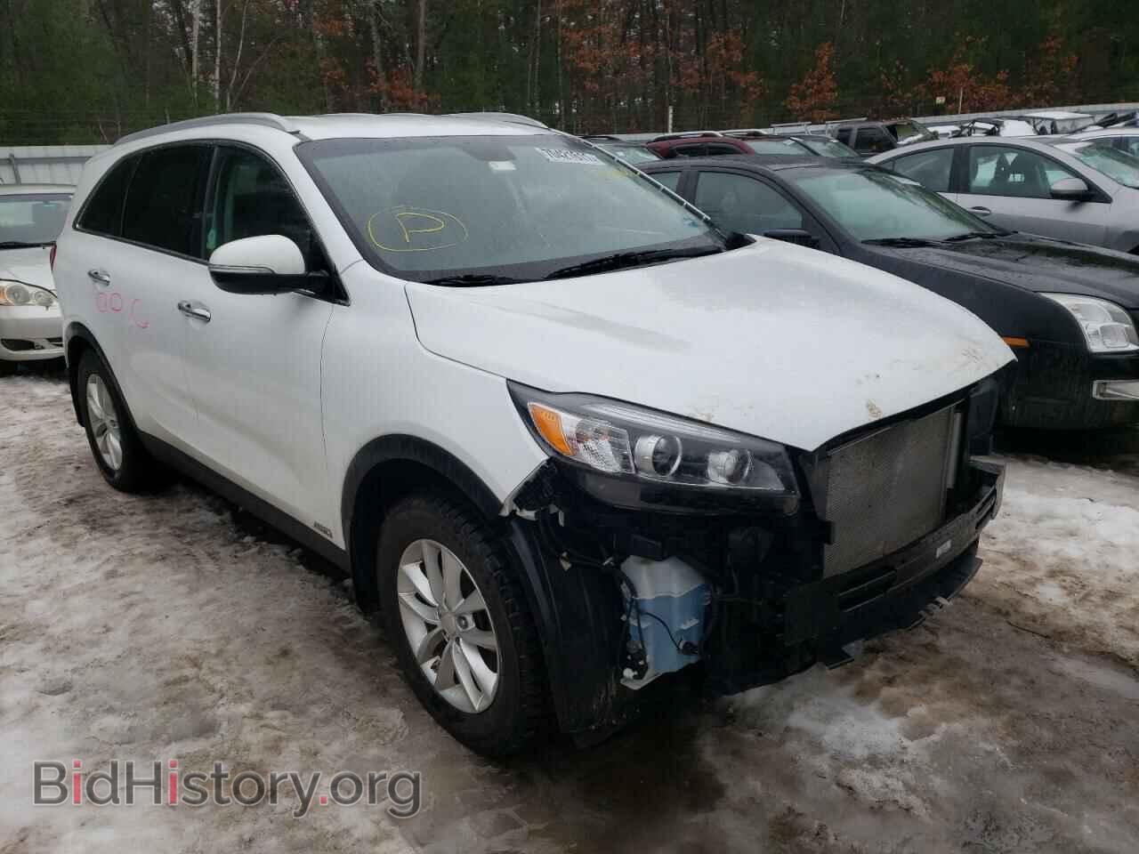 Photo 5XYPGDA32HG273697 - KIA SORENTO 2017