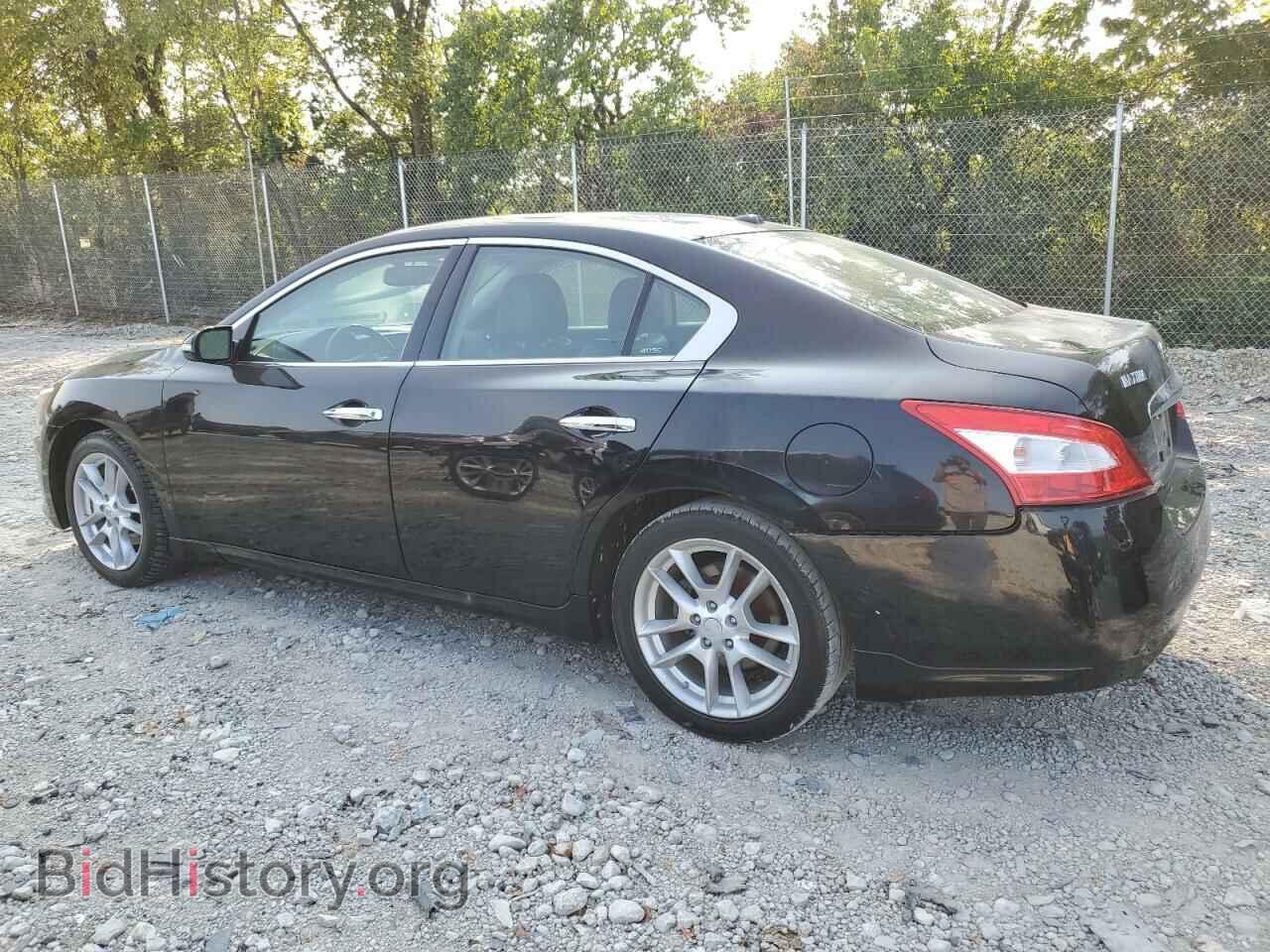 2010 NISSAN MAXIMA - VIN: 1N4AA5AP1AC803819 - Фото 2