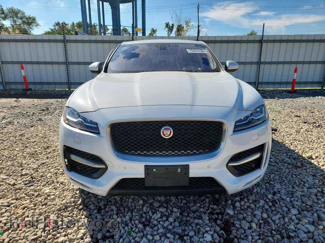 2017 JAGUAR F-PACE - VIN: SADCL2BN0HA096280 - Фото 5