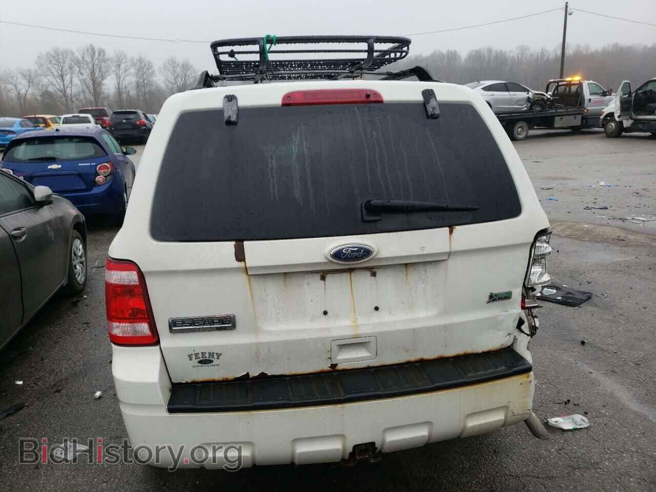 2010 FORD ESCAPE - VIN: 1FMCU0DG9AKD18984 - Фото 6
