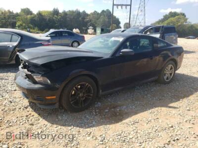 2011 Ford ALL MODELS Mustang, черный — VIN 1ZVBP8AM9B5137512, Copart
