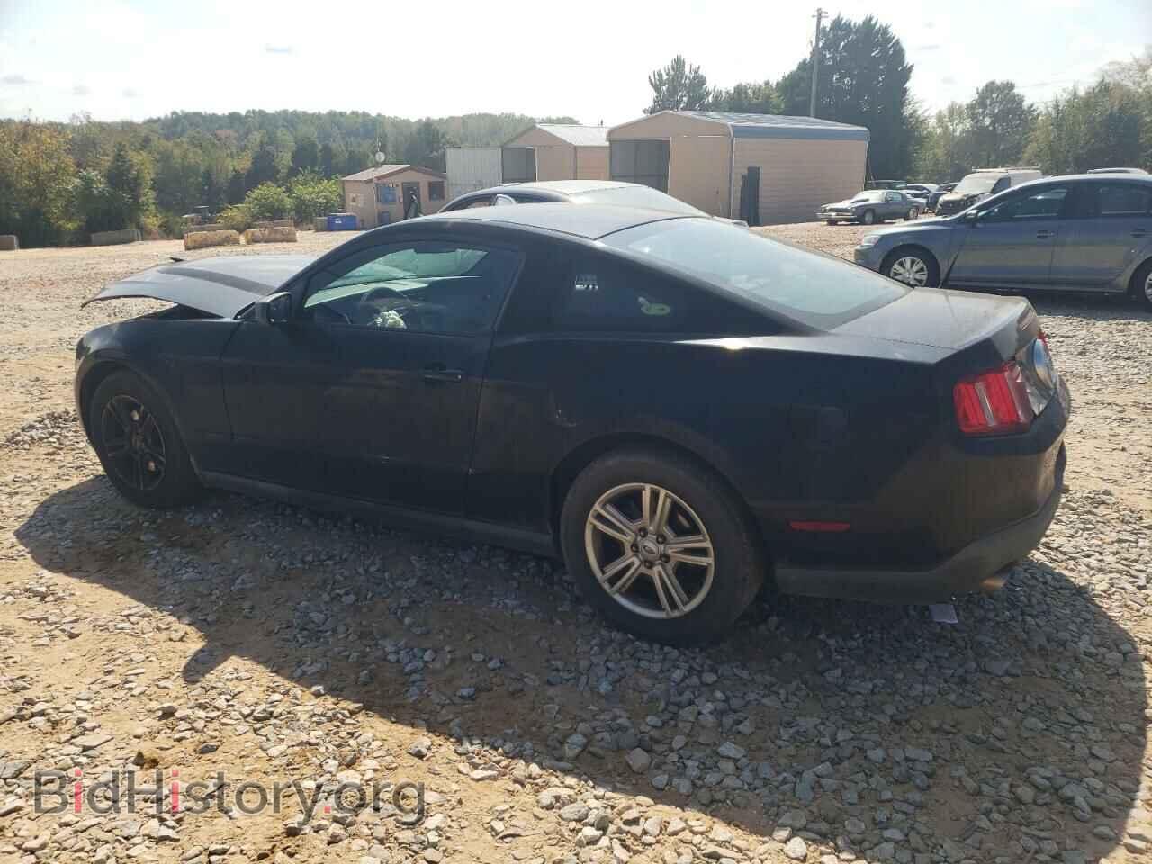 2011 FORD ALL Models - VIN: 1ZVBP8AM9B5137512 - Фото 2