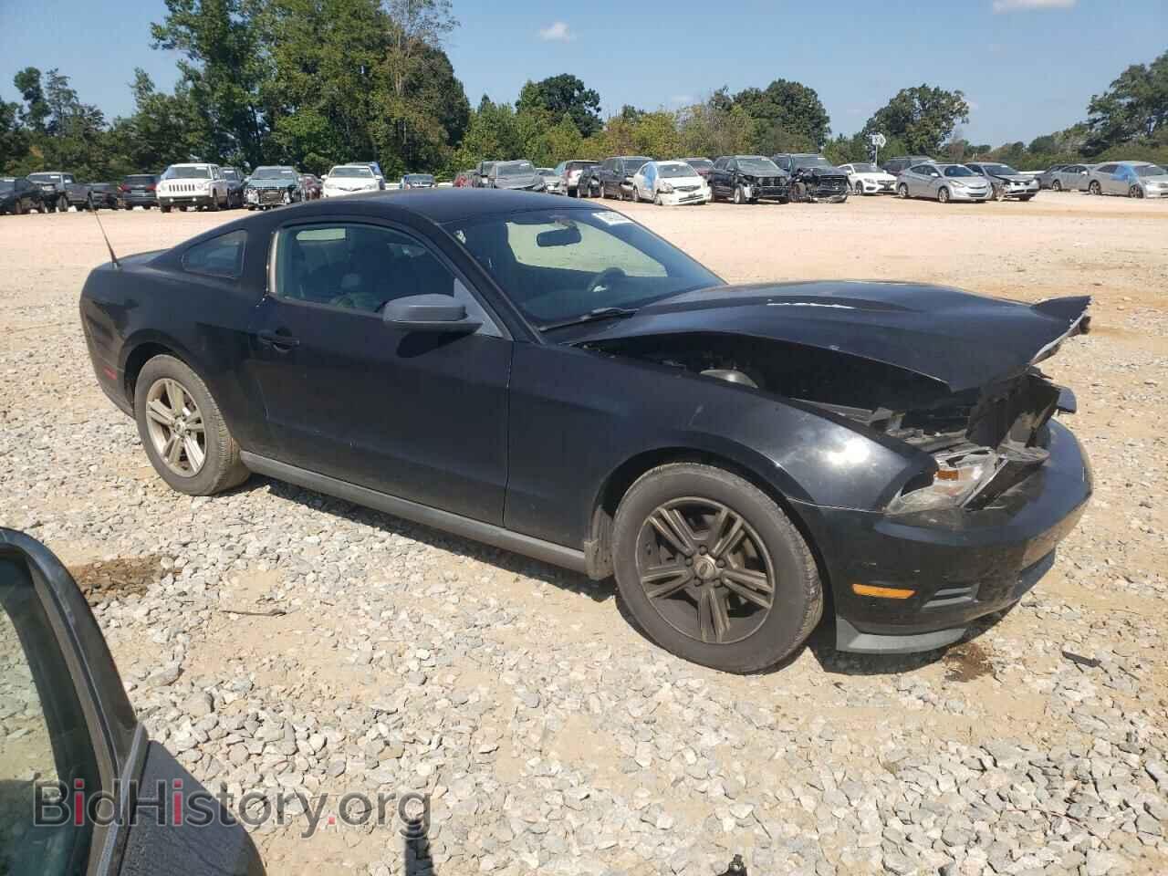 2011 FORD ALL Models - VIN: 1ZVBP8AM9B5137512 - Фото 4