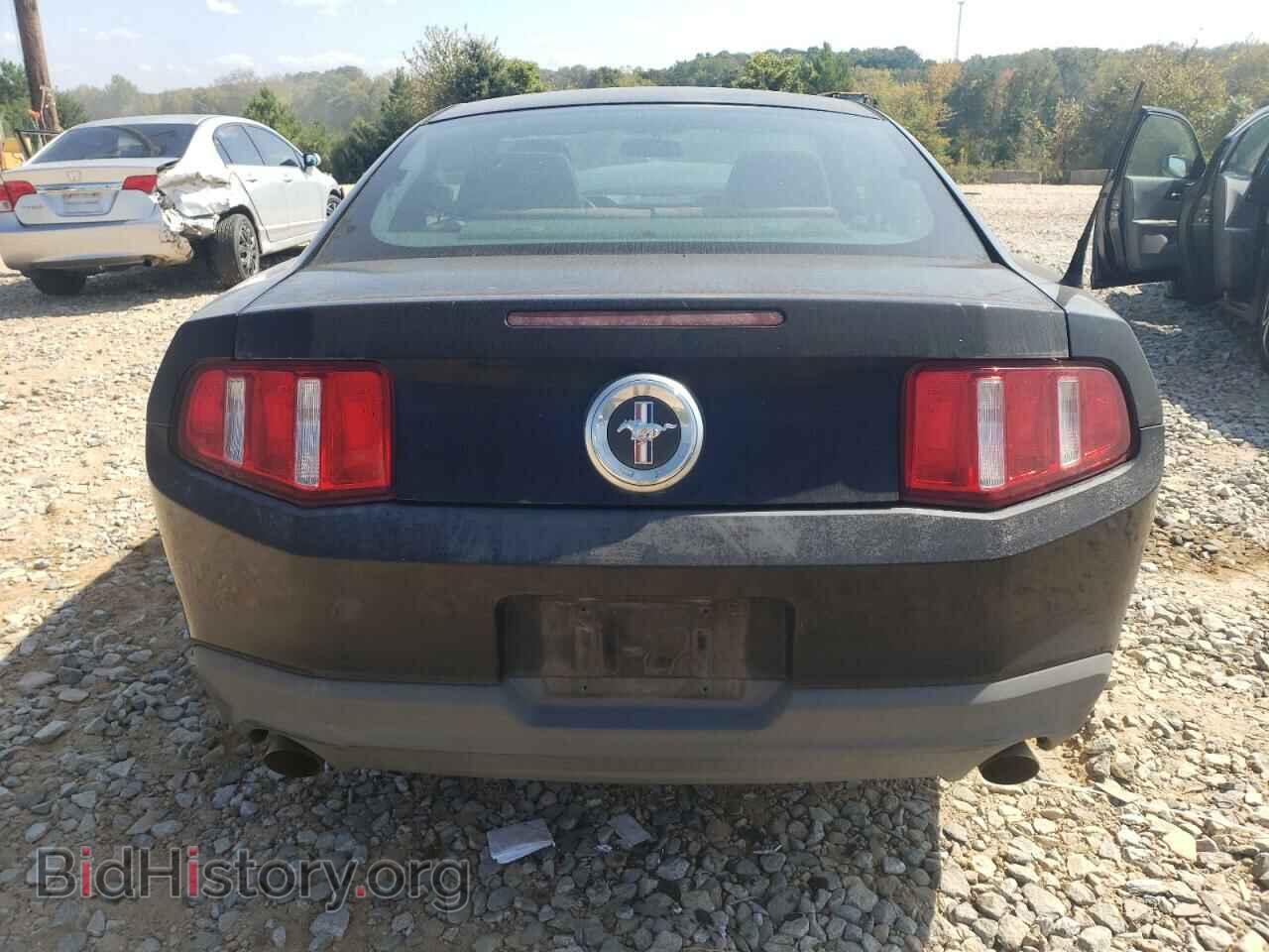 2011 FORD ALL Models - VIN: 1ZVBP8AM9B5137512 - Фото 6