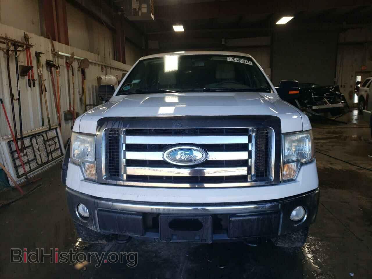 2009 FORD F-150 - VIN: 1FTPX14V69FA87130 - Фото 5
