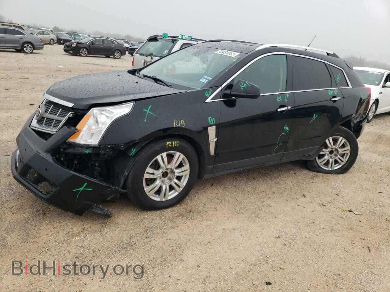 Фотография 3GYFNAEY7BS511226 - CADILLAC SRX 2011