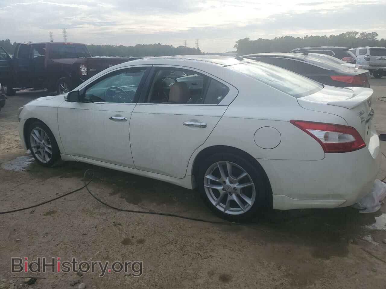 2010 NISSAN MAXIMA - VIN: 1N4AA5AP9AC846448 - Фото 2