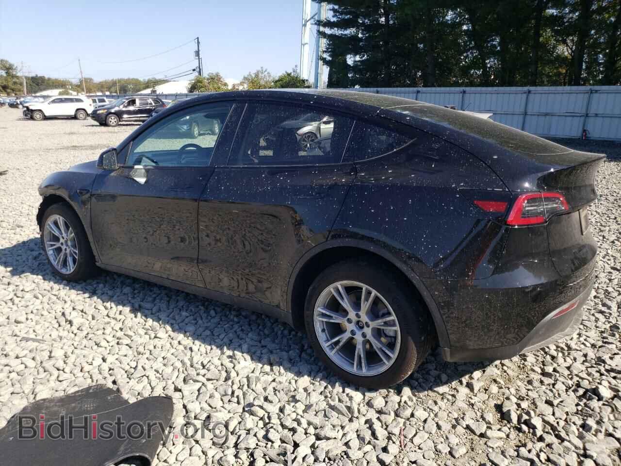 2023 TESLA MODEL Y - VIN: 7SAYGAEE4PF837731 - Фото 2