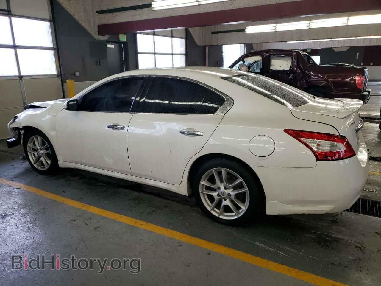 2011 NISSAN MAXIMA - VIN: 1N4AA5AP3BC832210 - Фото 2