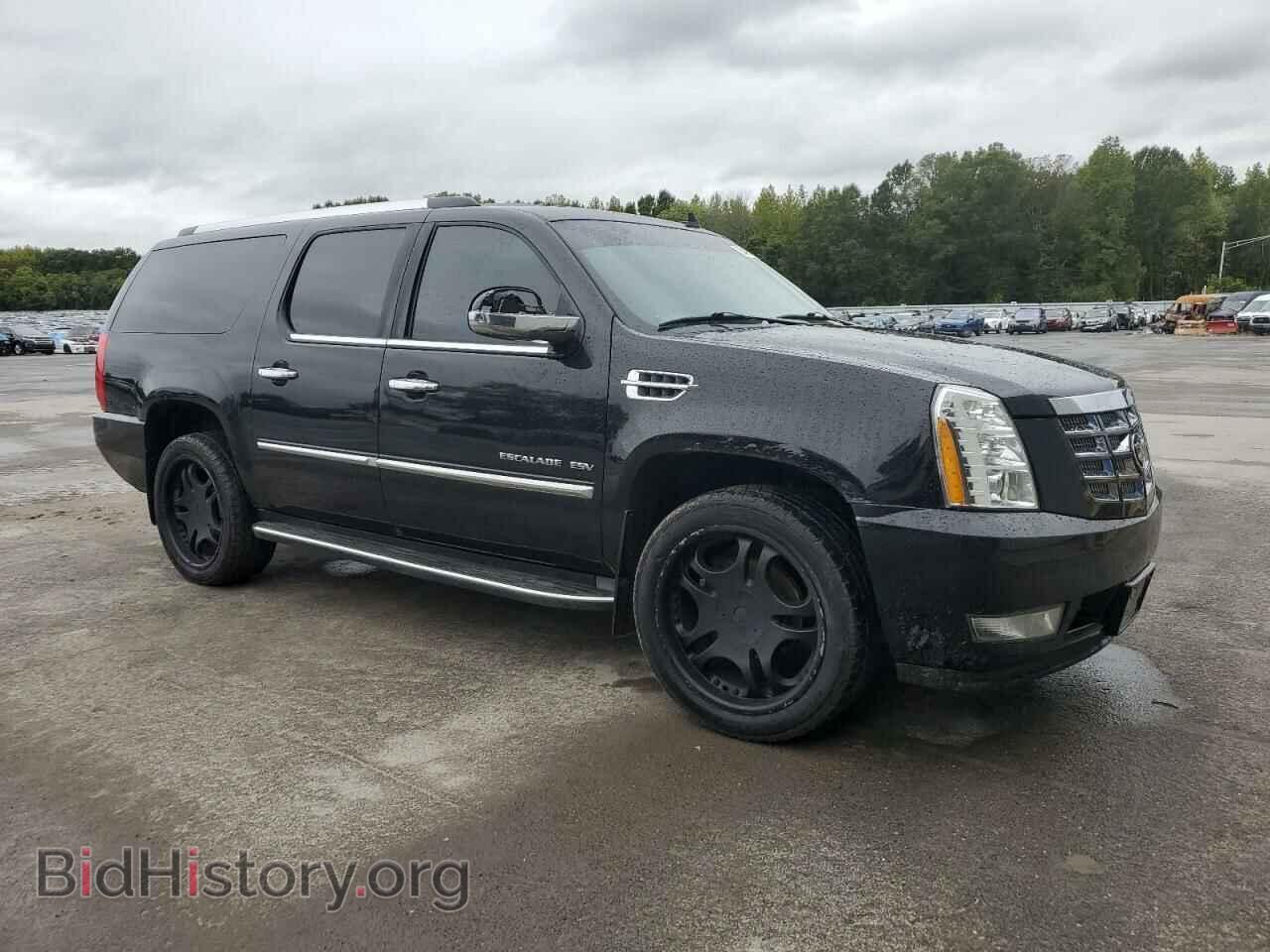 2011 CADILLAC ESCALADE - VIN: 1GYS4HEFXBR325899 - Фото 4