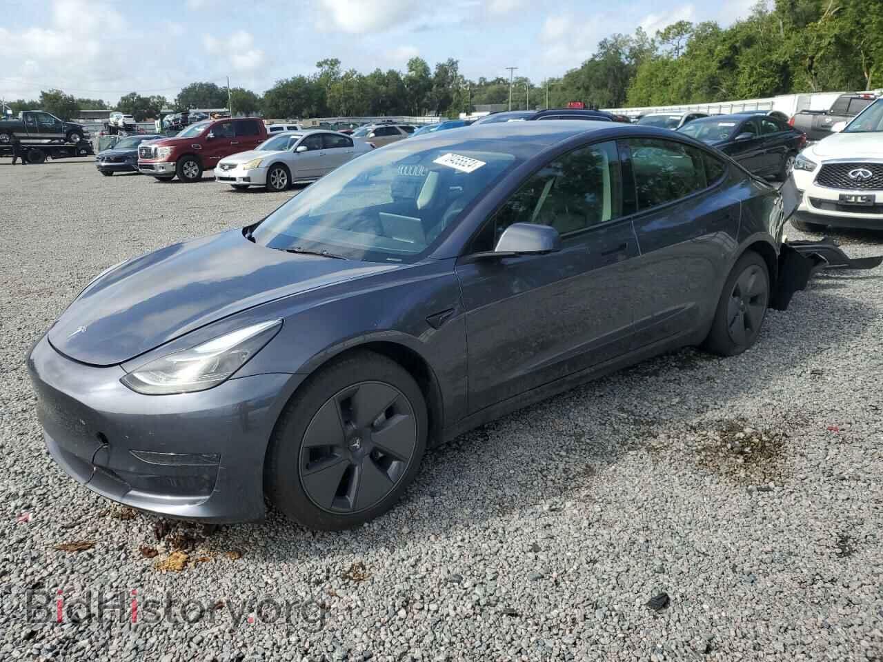 Фотография 5YJ3E1EA4PF646711 - TESLA MODEL 3 2023