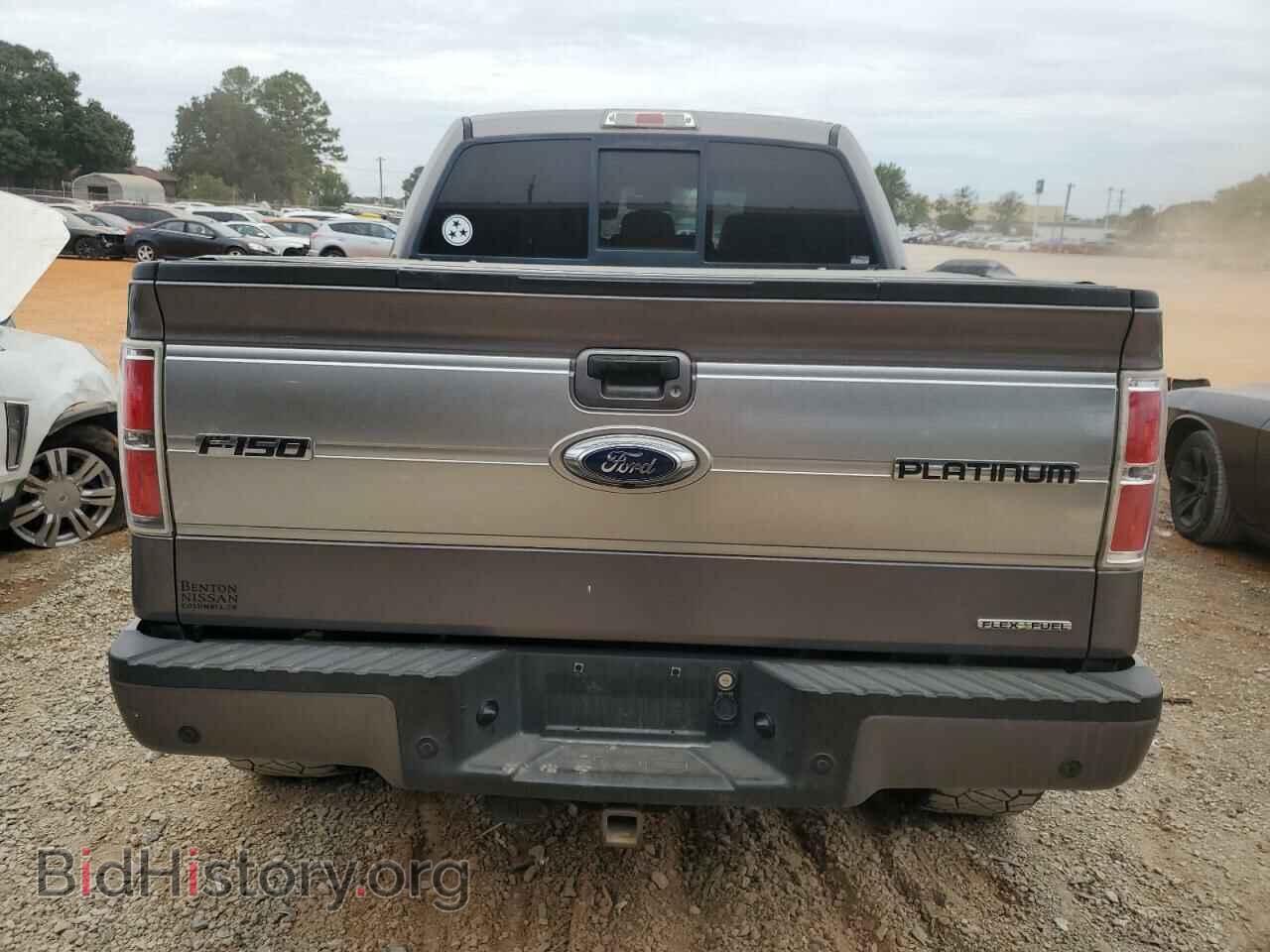 2014 FORD F-150 - VIN: 1FTFW1EF3EFA67062 - Фото 6