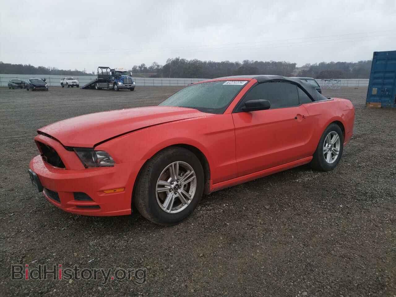 Фотография 1ZVBP8EM8E5210626 - FORD MUSTANG 2014
