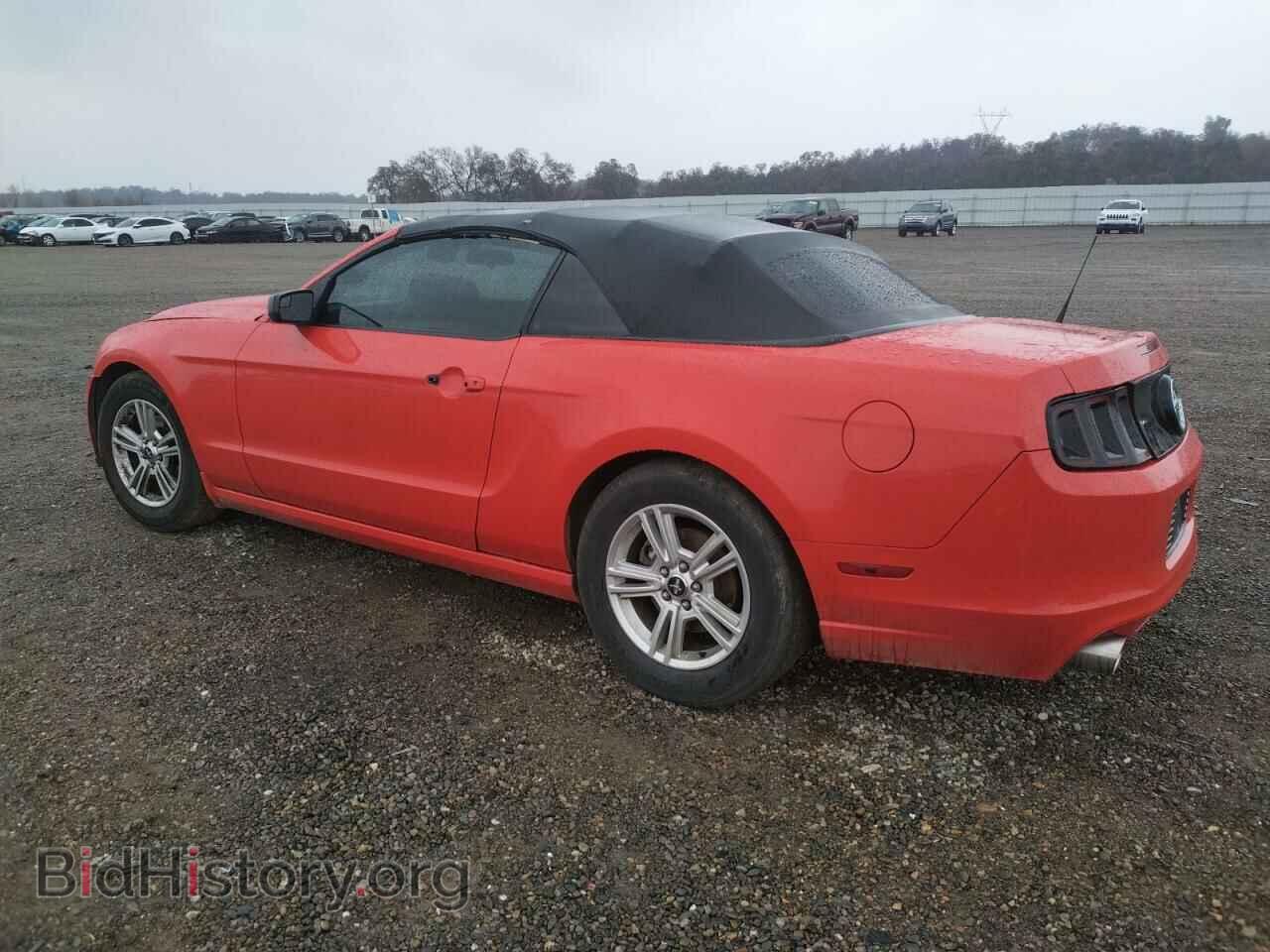 2014 FORD MUSTANG - VIN: 1ZVBP8EM8E5210626 - Фото 2
