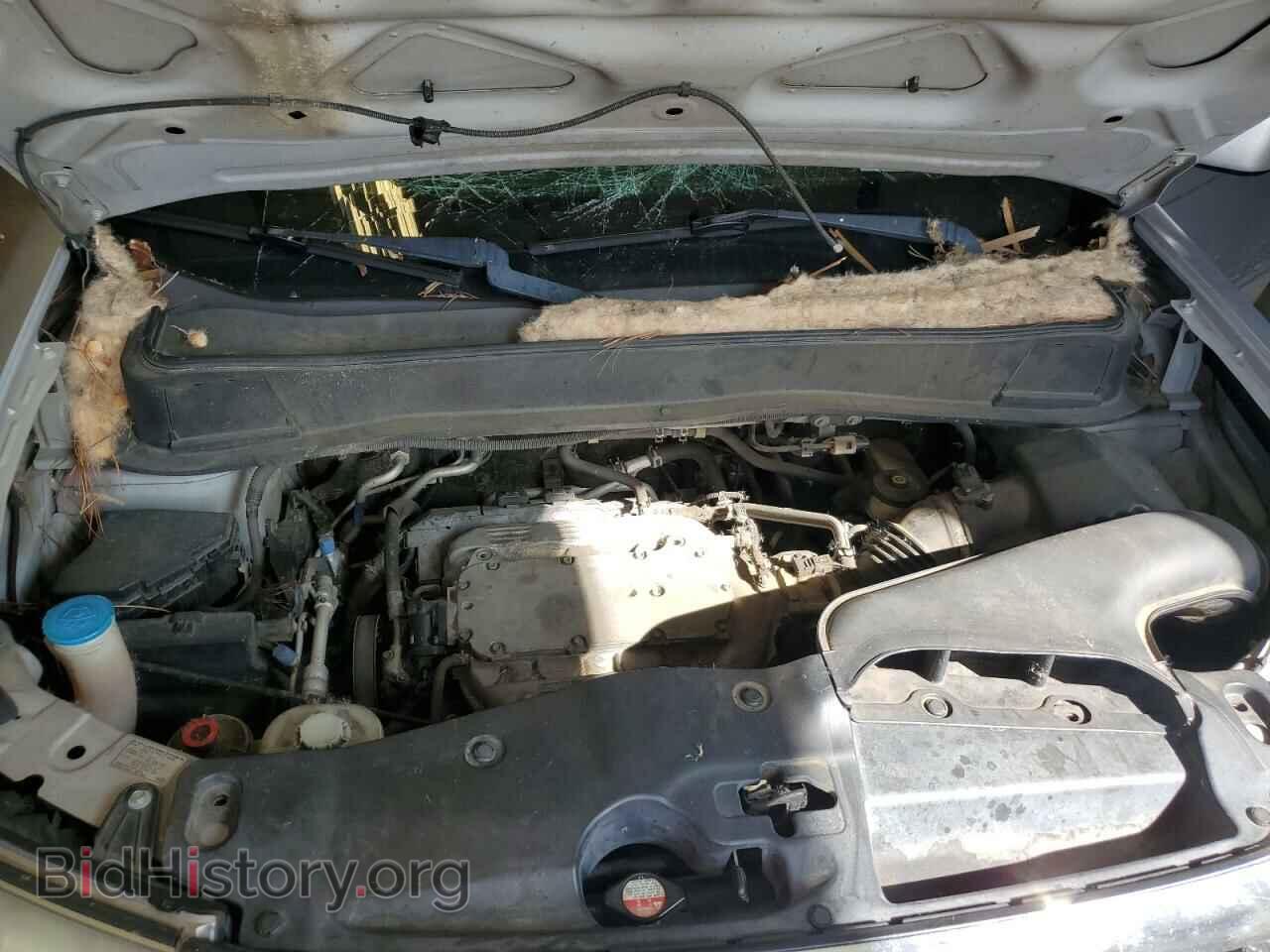 2009 HONDA PILOT - VIN: 5FNYF38529B020445 - Photo 12