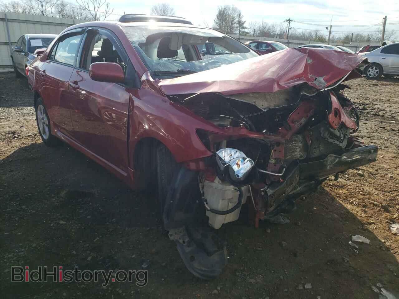 Photo 2T1BU4EE7BC665771 - TOYOTA COROLLA 2011