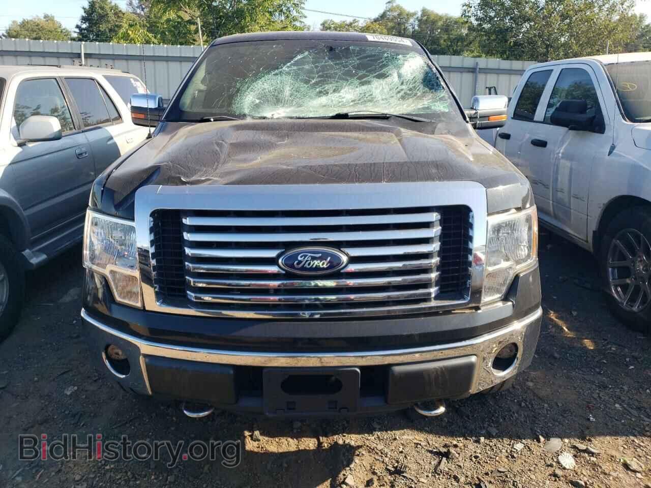 2012 FORD F-150 - VIN: 1FTFX1EF1CFA66728 - Фото 5