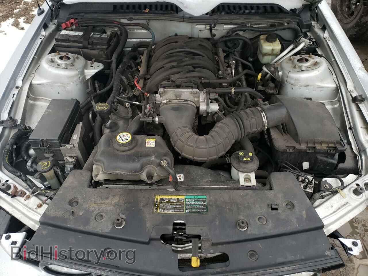 2006 FORD MUSTANG - VIN: 1ZVFT82H065108131 - Фото 7