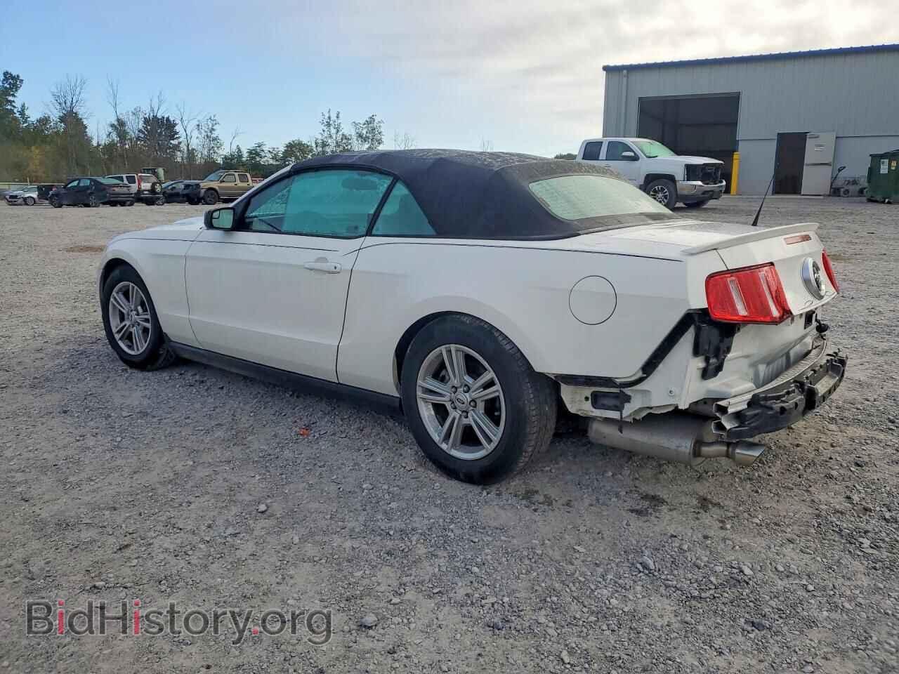 2012 FORD MUSTANG - VIN: 1ZVBP8EM8C5203544 - Фото 2